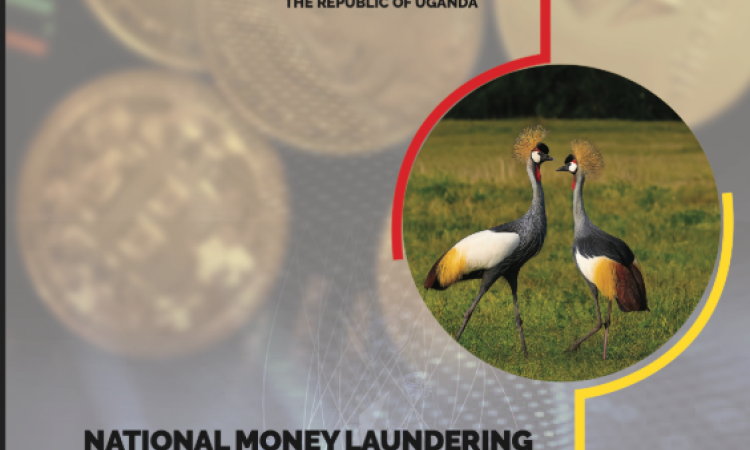 Virtual Assets (VAs) and Virtual Asset Service Providers (VASPs) ML/TF National Risk Assessment Report (2025)